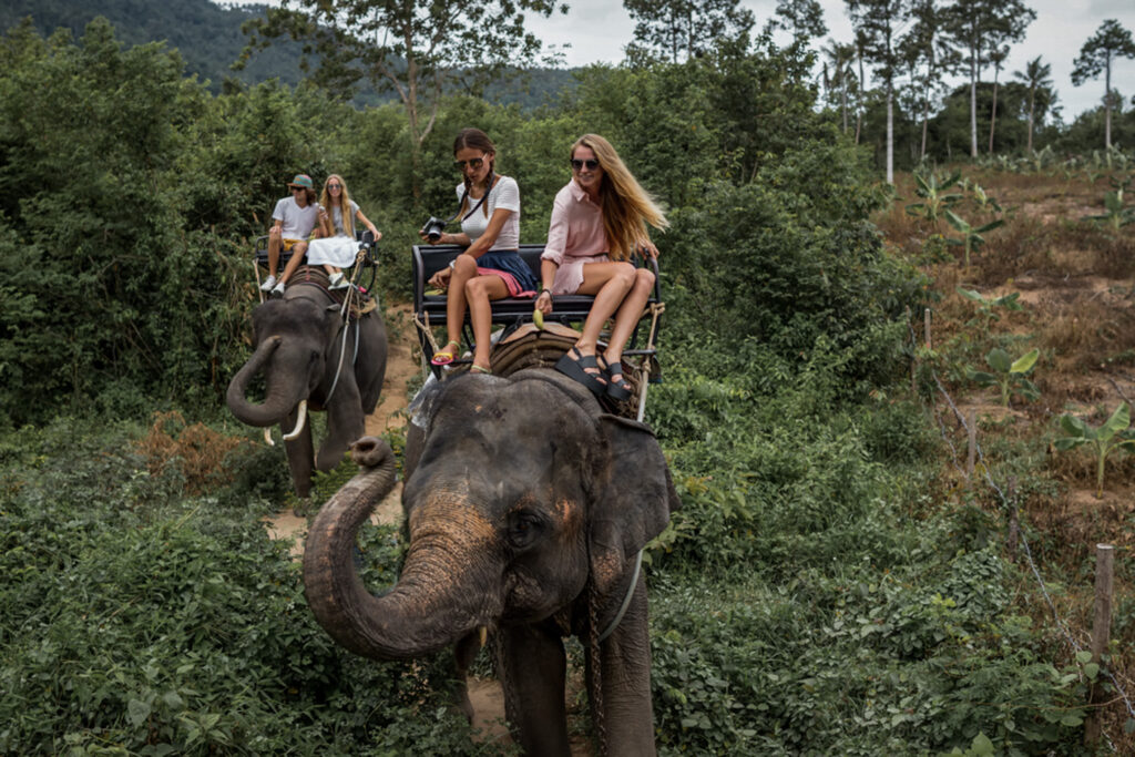 turismo consciente; como ser um turista mais consciente; turismo sustentável