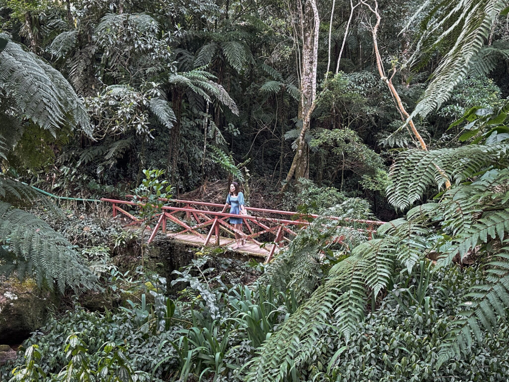 Trutas do Rocio; Rocio; Petrópolis; experiência gastronômica em Petrópolis; experiência gastronômica