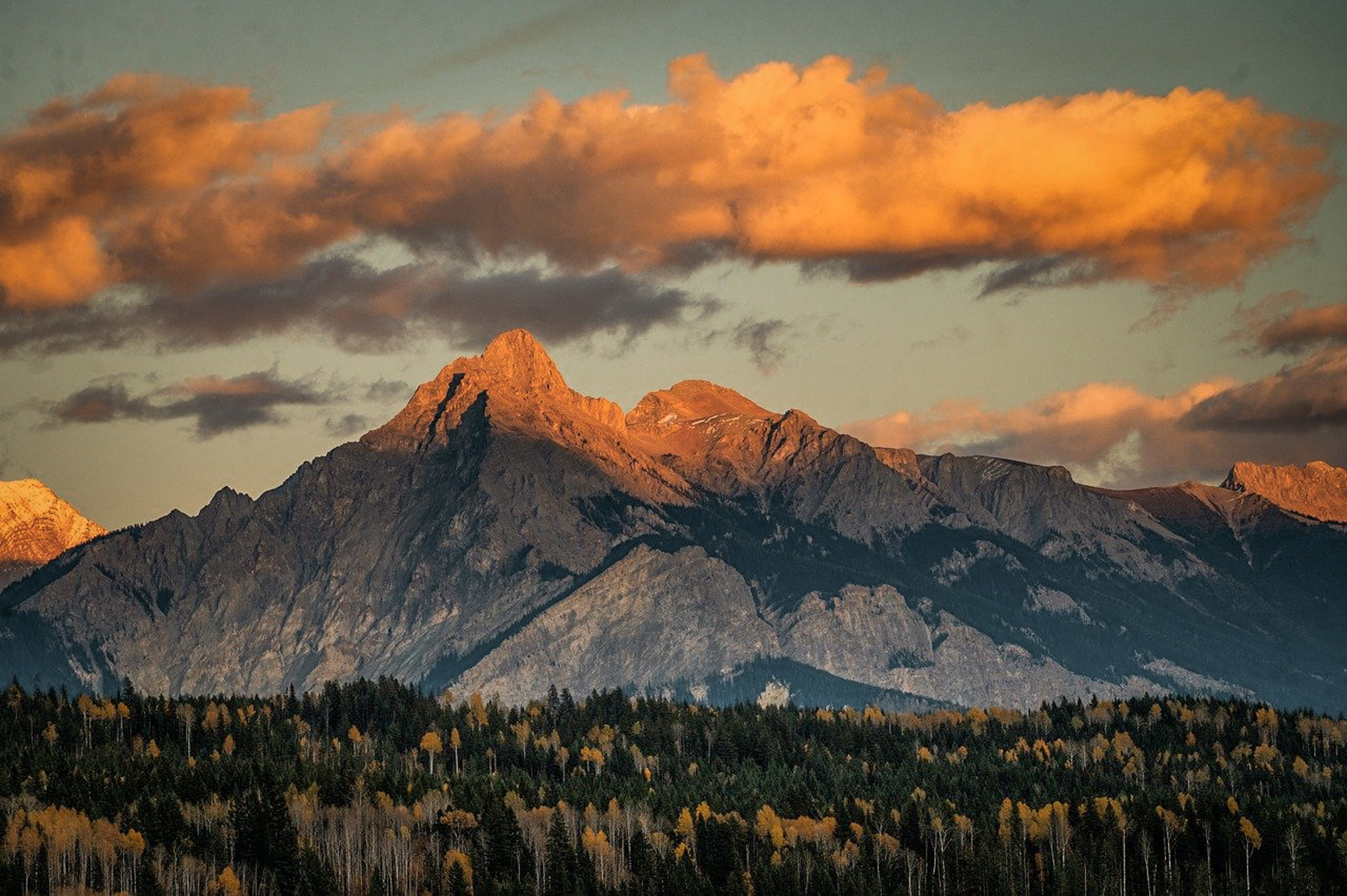 Seguro viagem; qual o melhor seguro viagem; como escolher um seguro viagem;