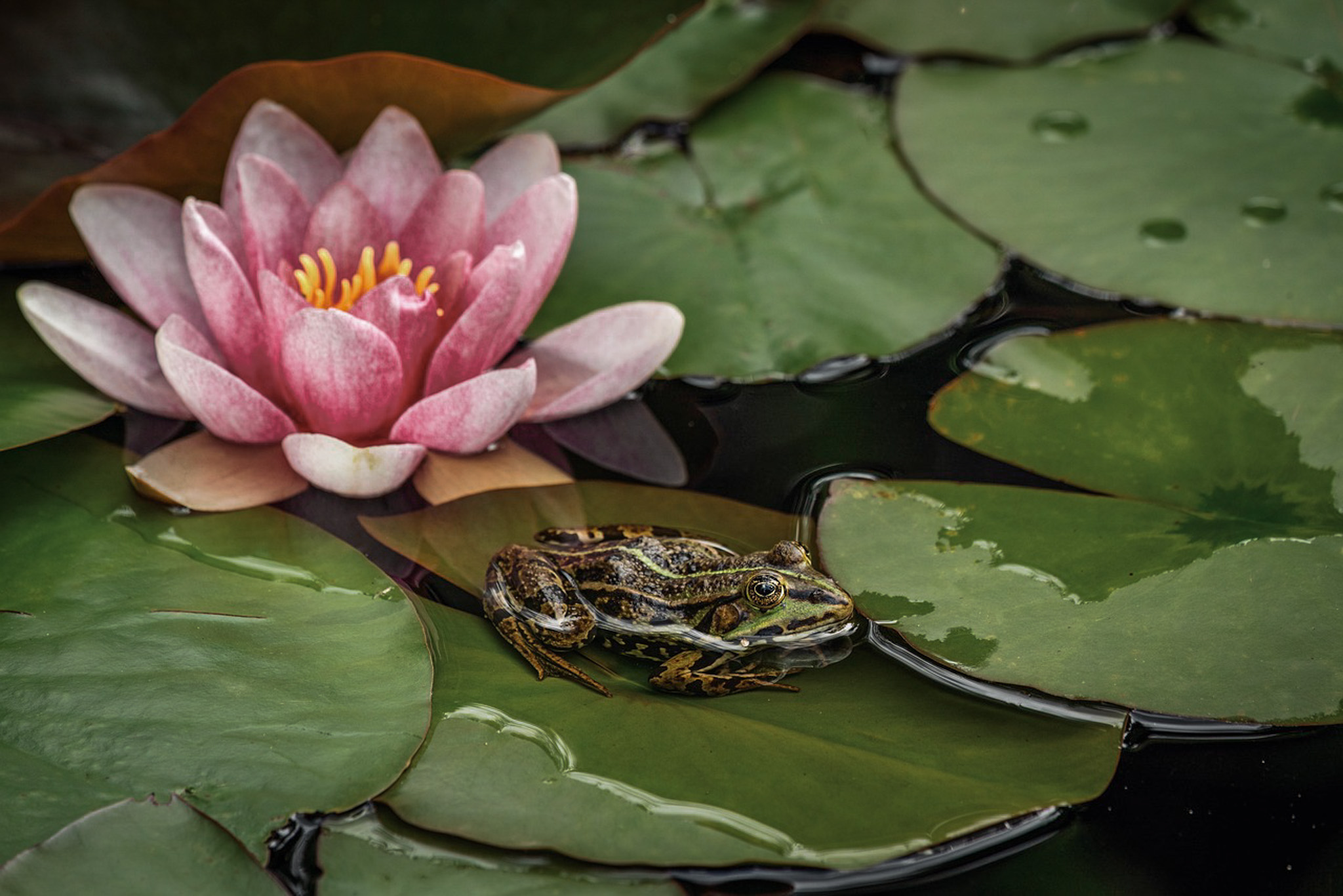 seguro viagem; como escolher um seguro viagem; qual melhor seguro viagem